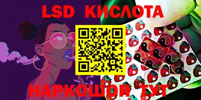 гидра Кандалакша