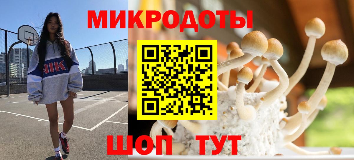 Лабинск  Псилоцибиновые грибы Psilocybine cubensis  Галлюциногенные грибы MAGIC MUSHROOMS  где продают наркотики  Вход с VPN 